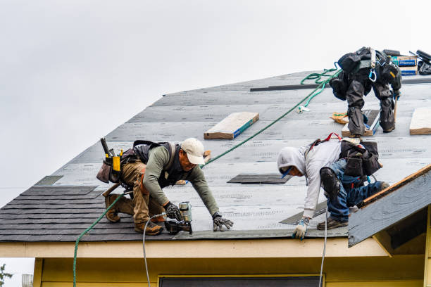 Professional Roofing technician working in Paoli, IN
